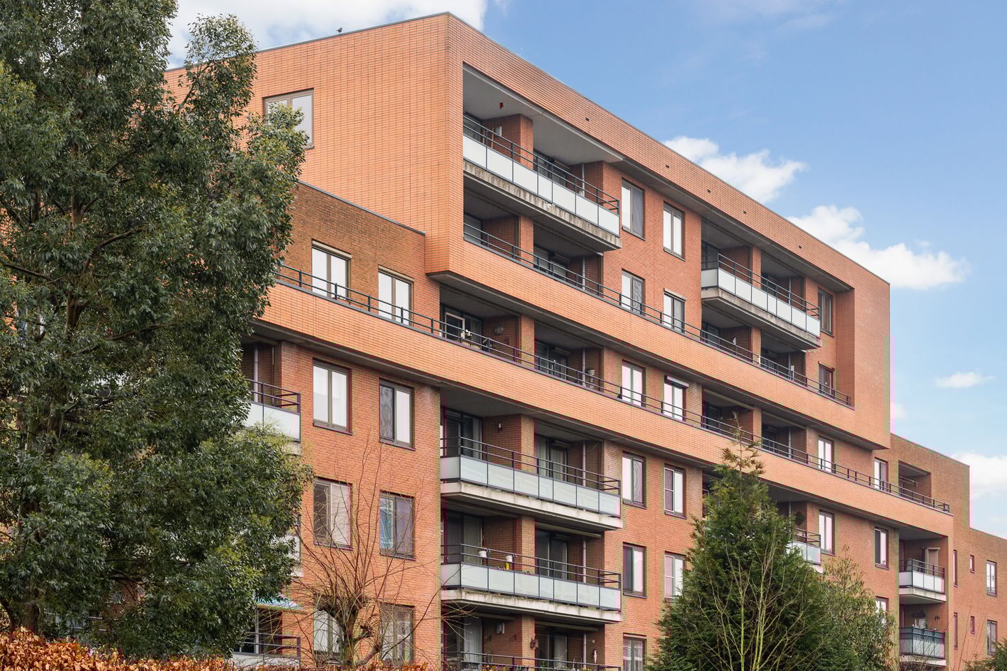 Foto 34 van Zanglijsterstraat 131