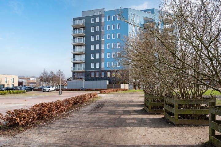 Foto 19 van Pygmalionstraat 138