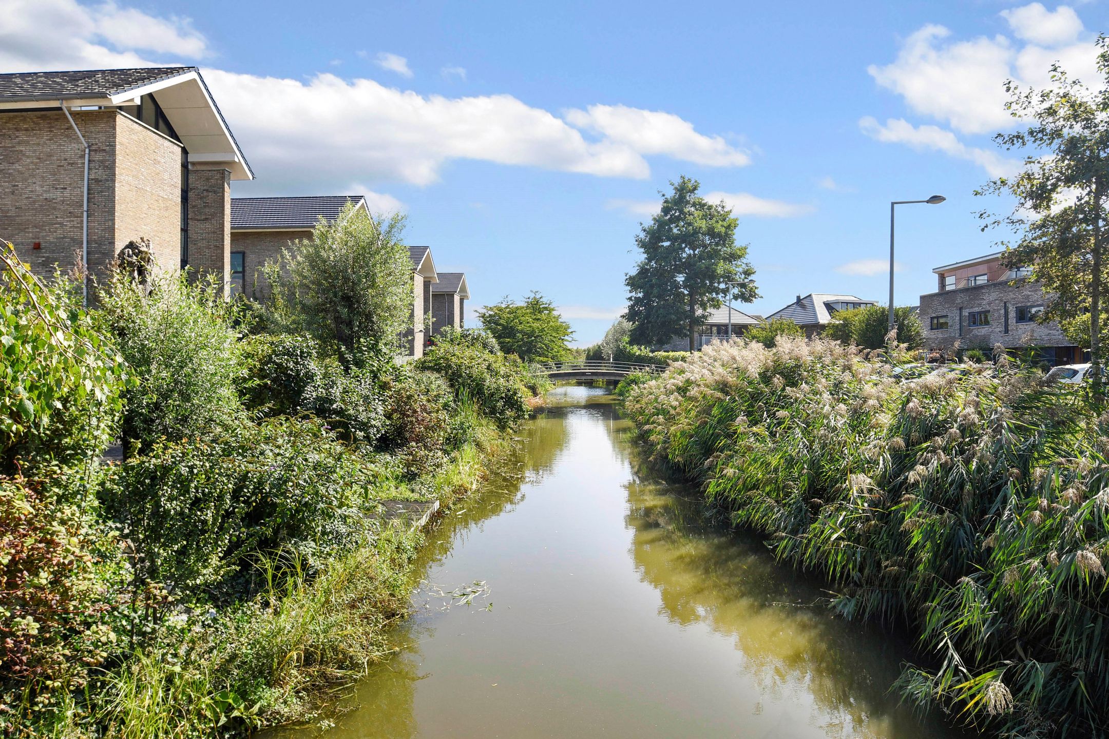 Photo 48 of Arenastraat 7