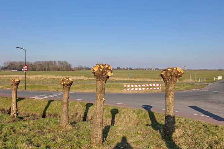 Photo 55 of Arenastraat 7