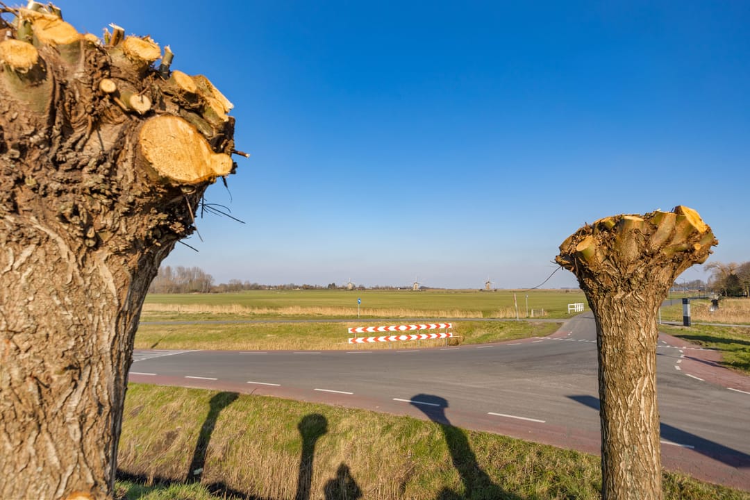 Photo 56 of Arenastraat 7