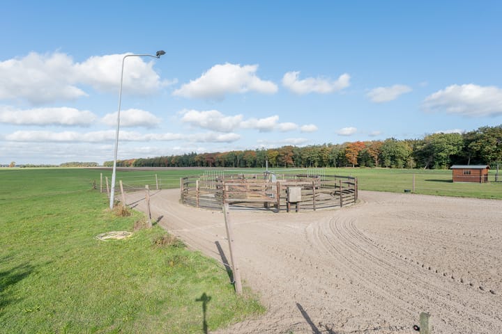 Foto 51 van Jipsingboertangerweg 146