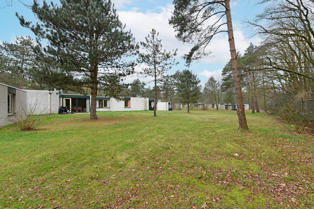 Foto 22 van Lommerbergen 218