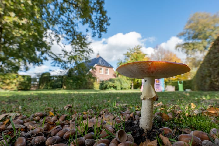 Foto 72 van Jipsingboertangerweg 146