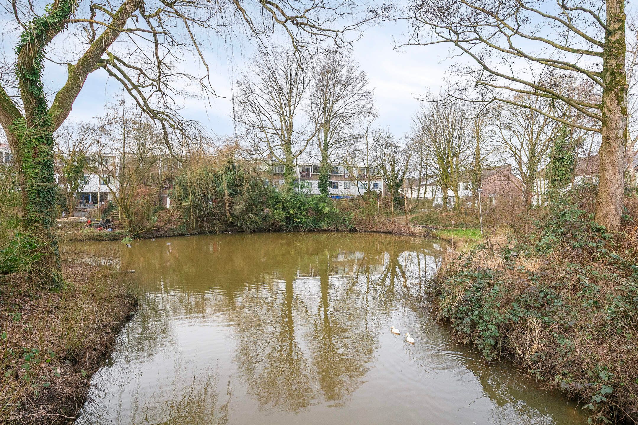 Foto 36 van Wickenburg 15