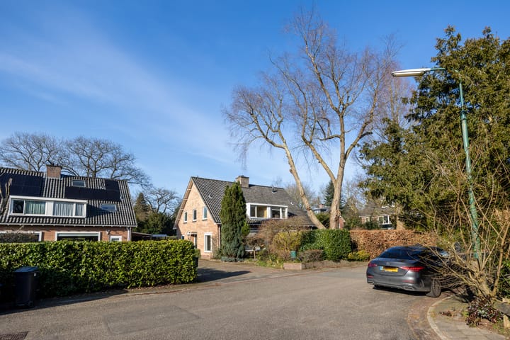 Foto 26 van Gerard Terborchlaan 15