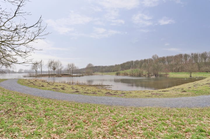 Foto 77 van P.Paulussenstraat 12