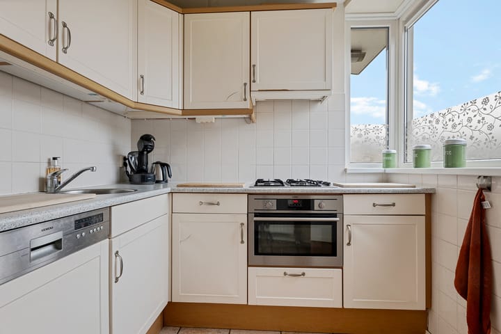 Foto 4 van Sneeuwuil 1