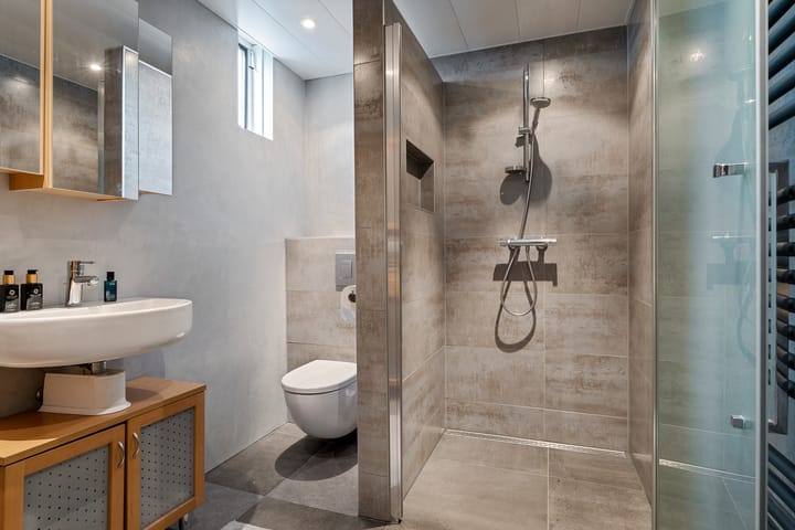 Foto 5 van Sneeuwuil 1