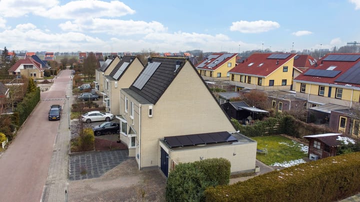 Foto 6 van Sneeuwuil 1