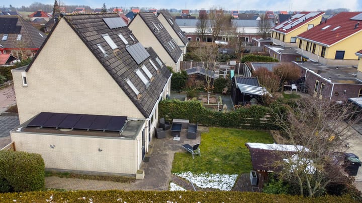 Foto 7 van Sneeuwuil 1