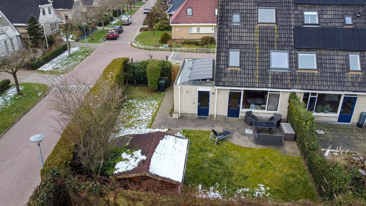 Foto 8 van Sneeuwuil 1