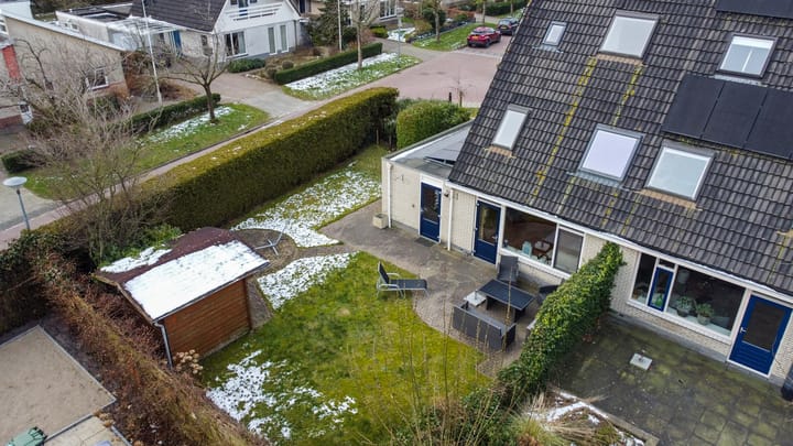 Foto 9 van Sneeuwuil 1