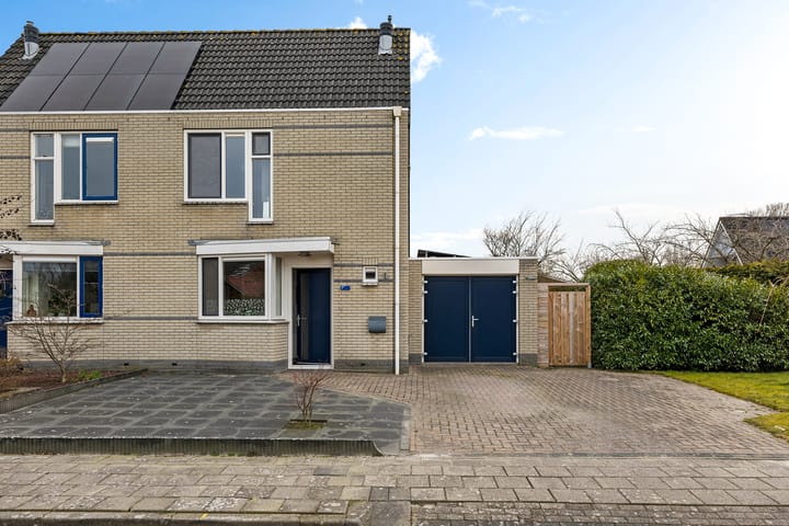 Foto 12 van Sneeuwuil 1