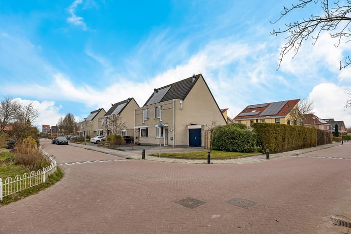 Foto 13 van Sneeuwuil 1