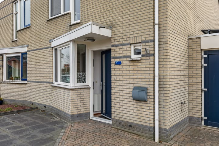 Foto 14 van Sneeuwuil 1