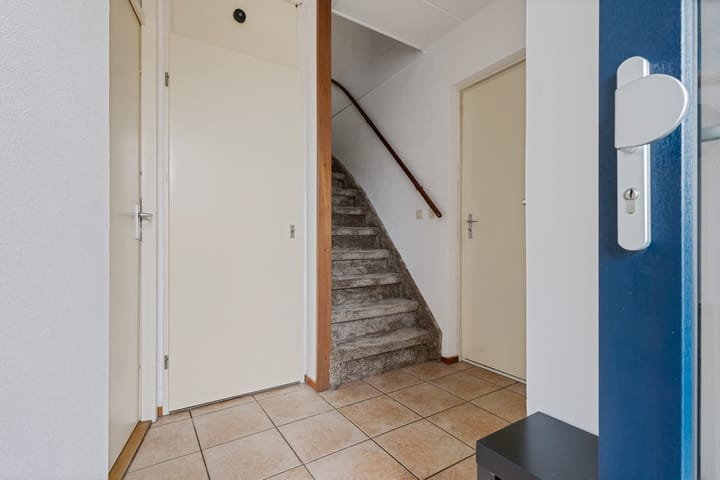 Foto 16 van Sneeuwuil 1