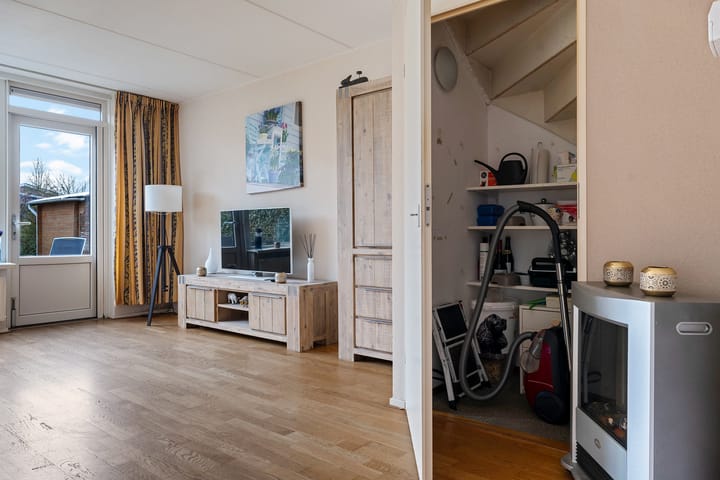 Foto 24 van Sneeuwuil 1