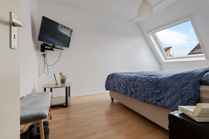 Foto 31 van Sneeuwuil 1