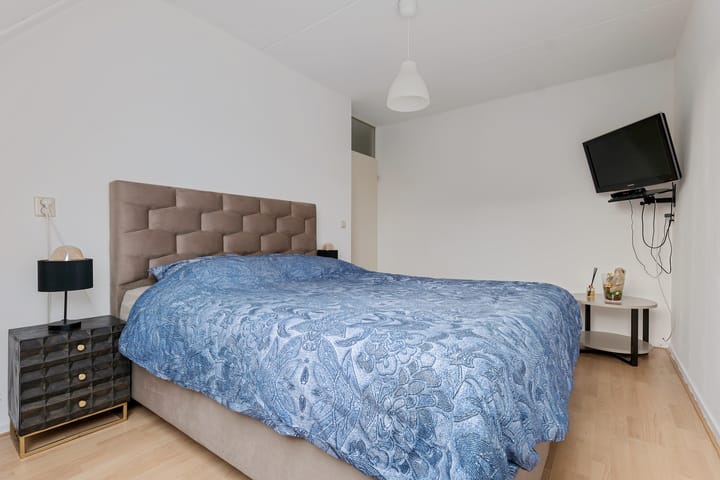 Foto 32 van Sneeuwuil 1