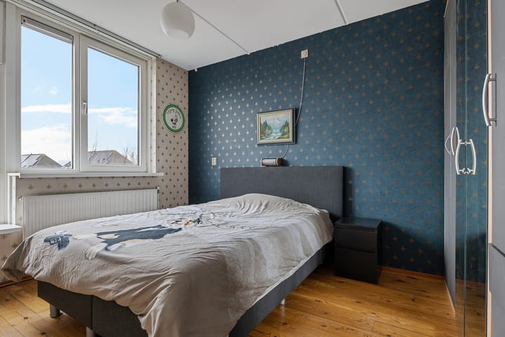 Foto 33 van Sneeuwuil 1