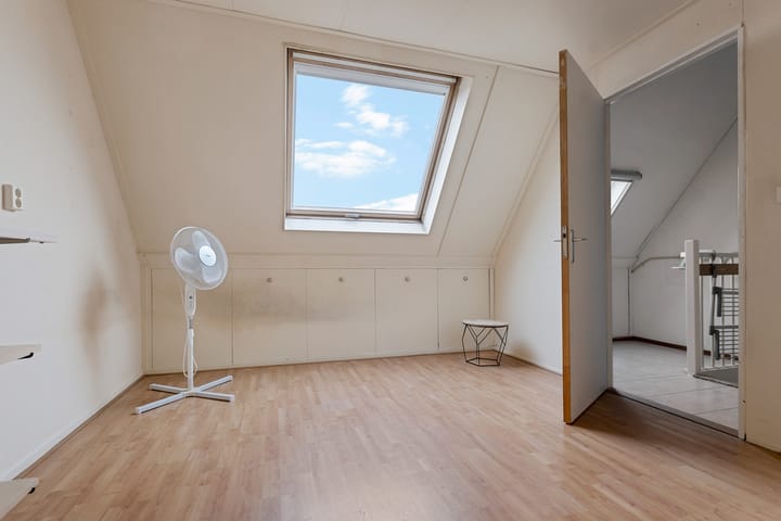 Foto 38 van Sneeuwuil 1