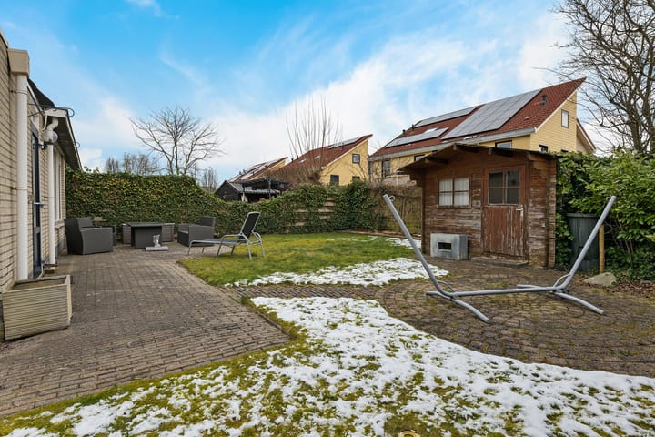 Foto 40 van Sneeuwuil 1