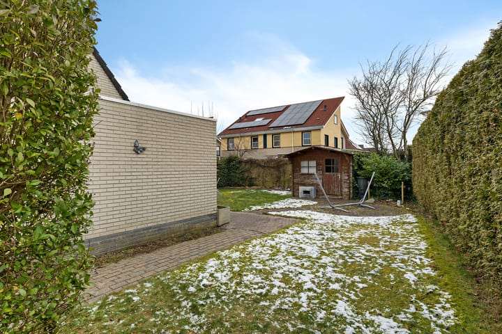 Foto 42 van Sneeuwuil 1