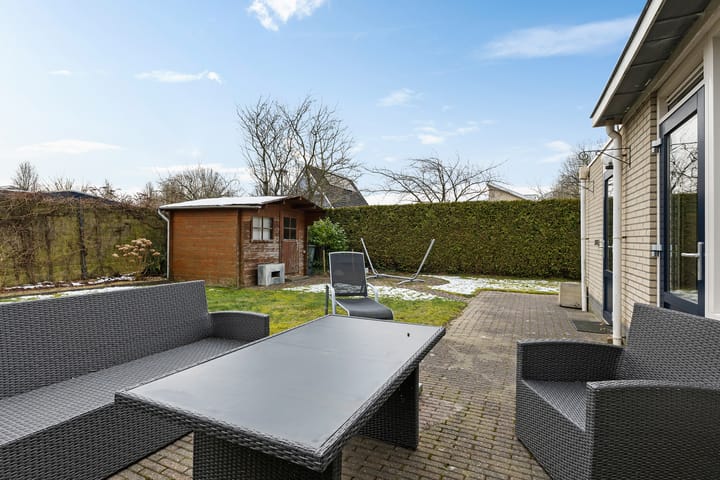 Foto 43 van Sneeuwuil 1