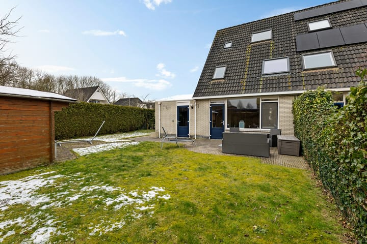 Foto 44 van Sneeuwuil 1