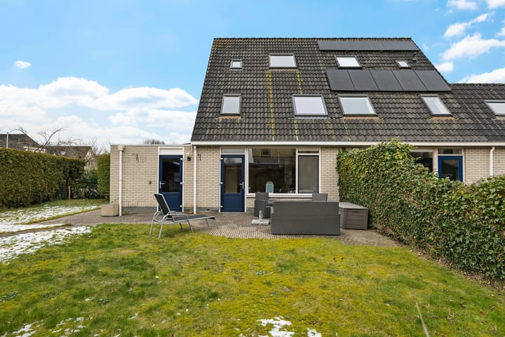 Foto 45 van Sneeuwuil 1