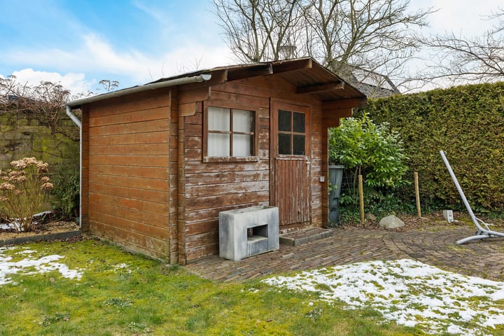 Foto 47 van Sneeuwuil 1