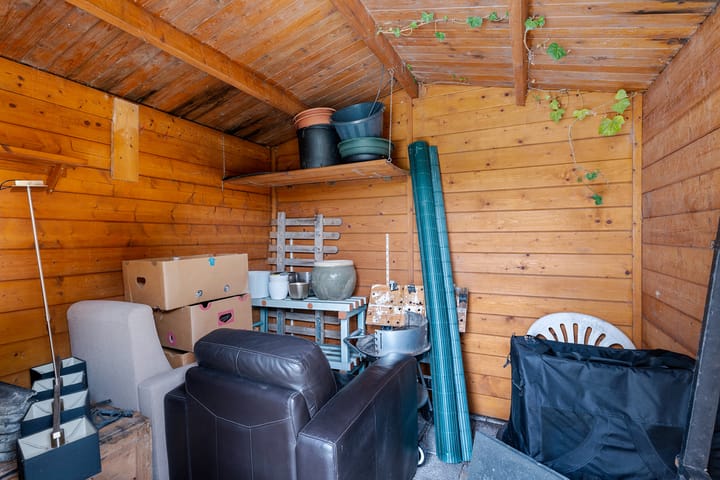 Foto 48 van Sneeuwuil 1