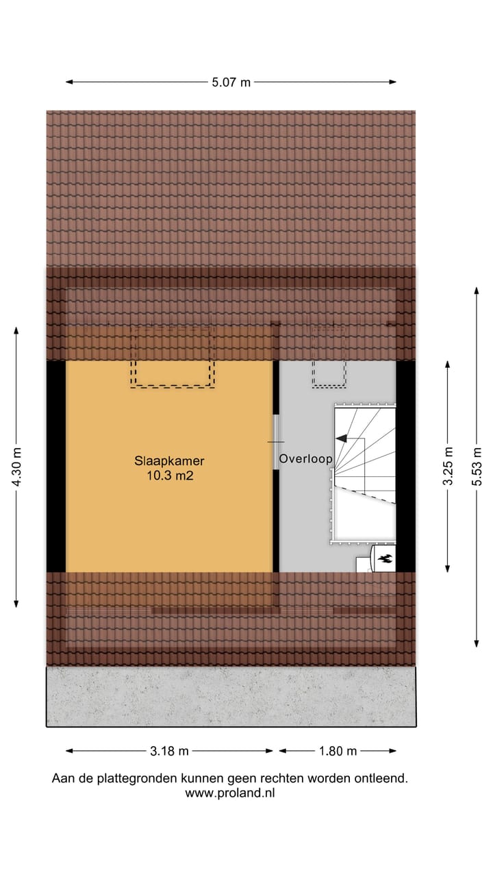 Foto 56 van Sneeuwuil 1