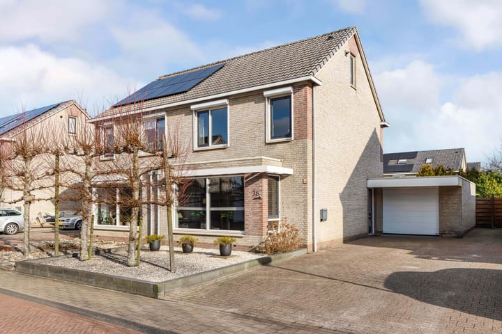 Foto 1 van Lisdodde 36