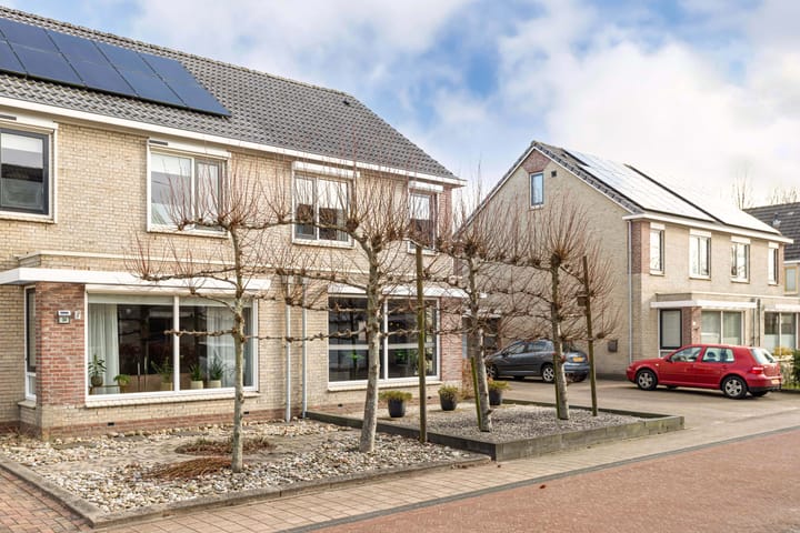 Foto 7 van Lisdodde 36