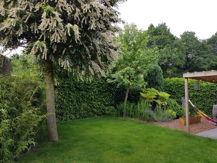 Foto 24 van Poeldonk 14