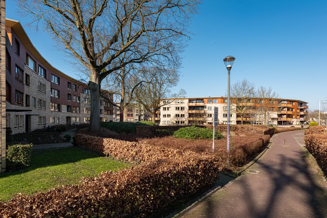 Photo 31 of Zeshoven 35