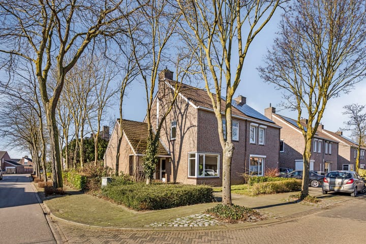 Foto 2 van Varenbeuk 1