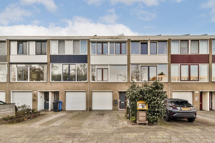 Foto 1 van Knikbloem 23