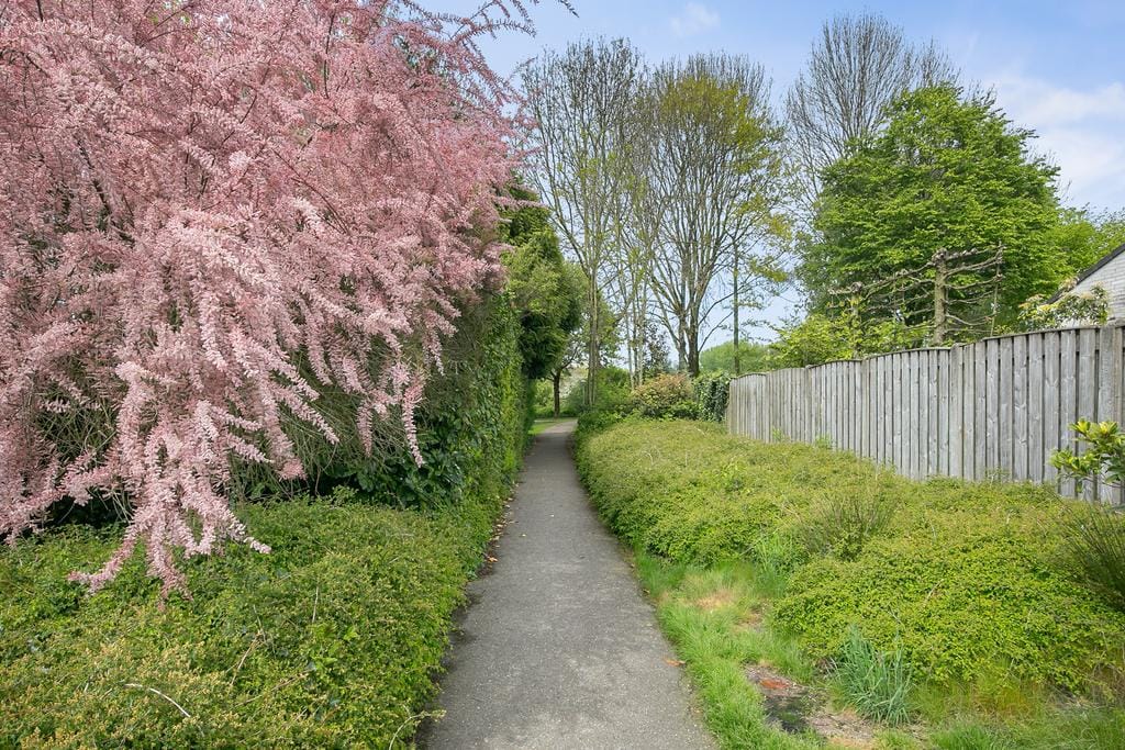 Foto 35 van Hondsberg 23