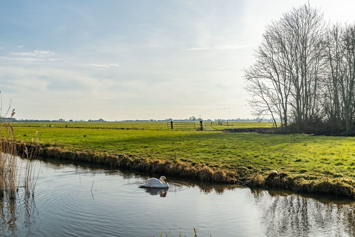 Foto 3 van Noordbuurtsehof 50