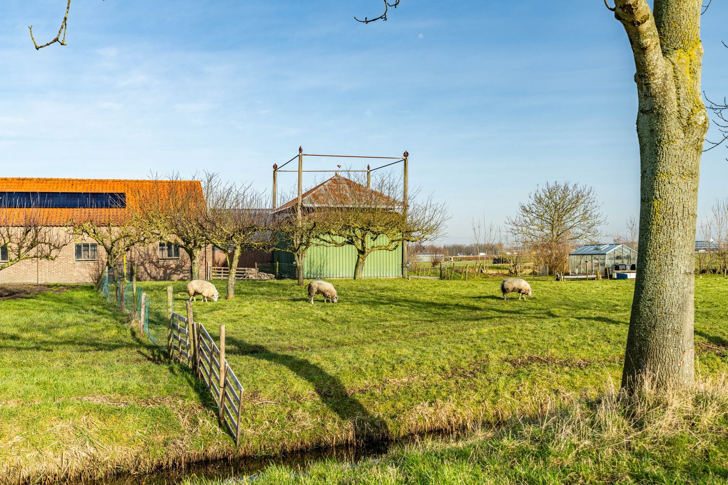 Foto 50 van Noordbuurtsehof 50