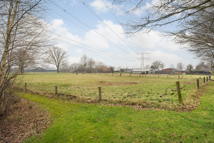 Foto 2 van Glinthaar 41