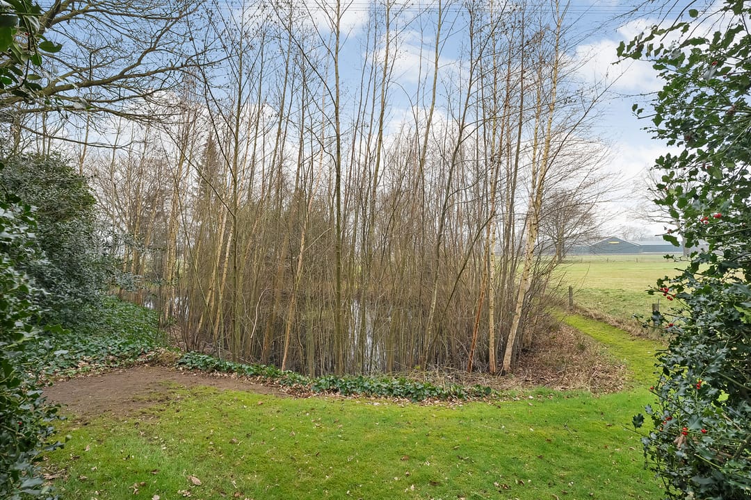 Foto 7 van Glinthaar 41