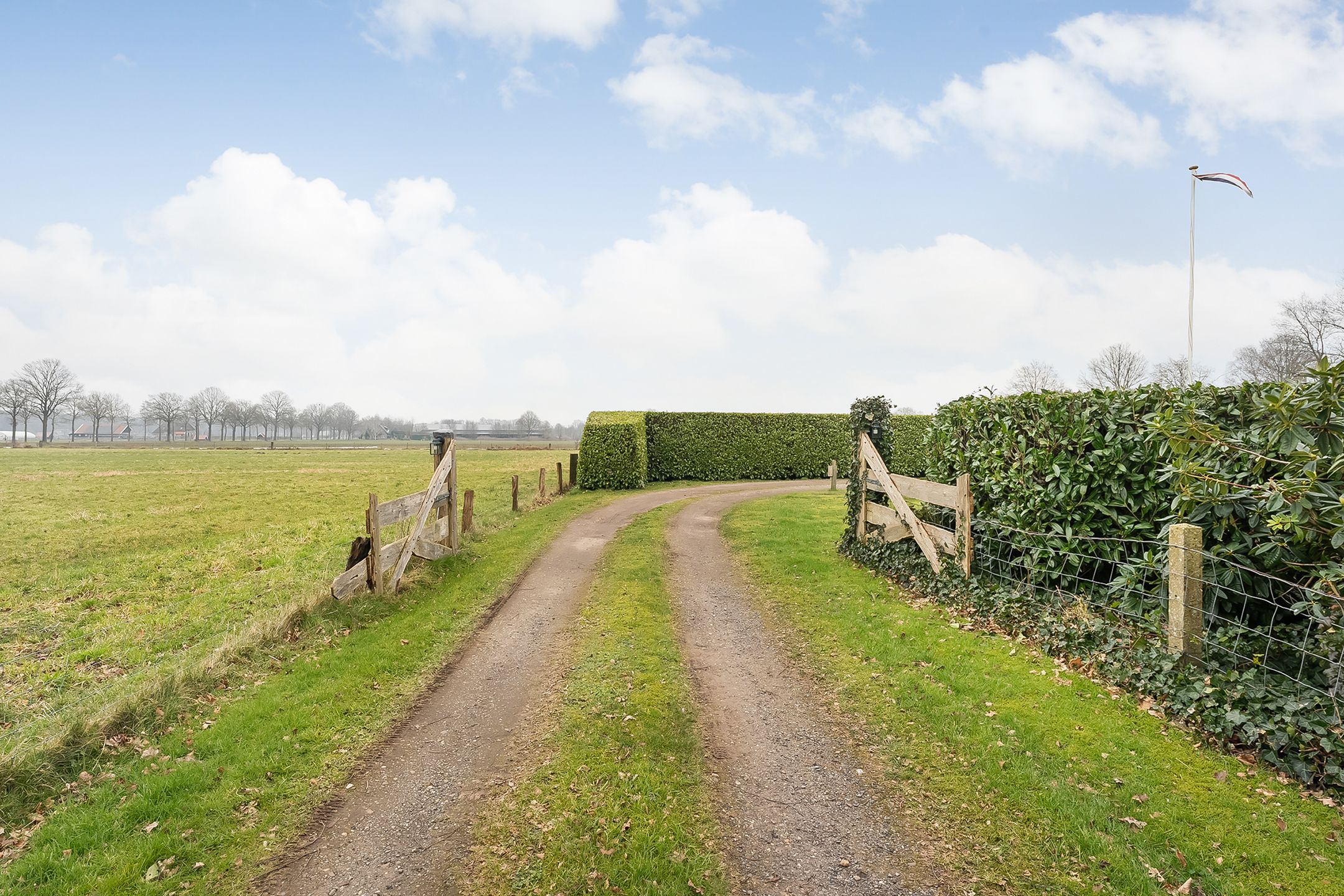 Foto 18 van Glinthaar 41