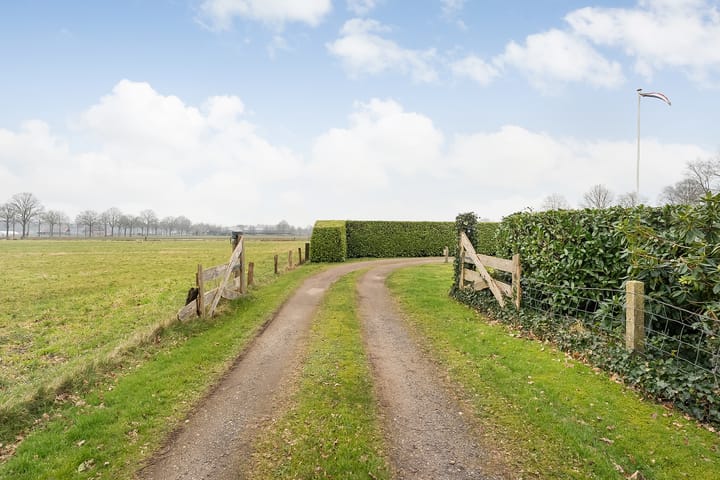 Foto 18 van Glinthaar 41