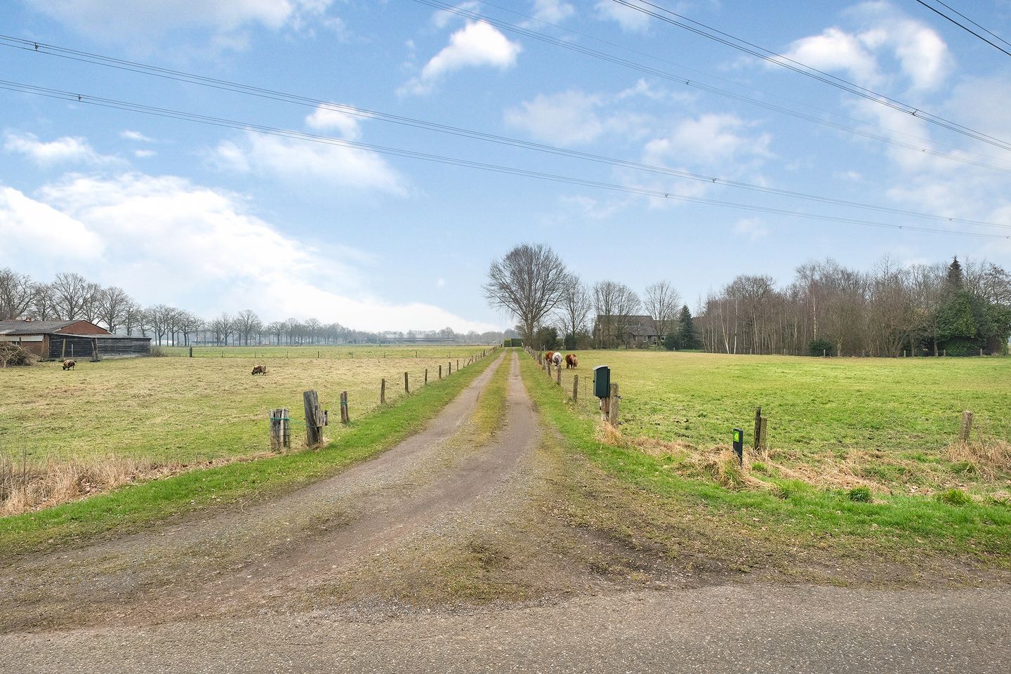 Foto 20 van Glinthaar 41