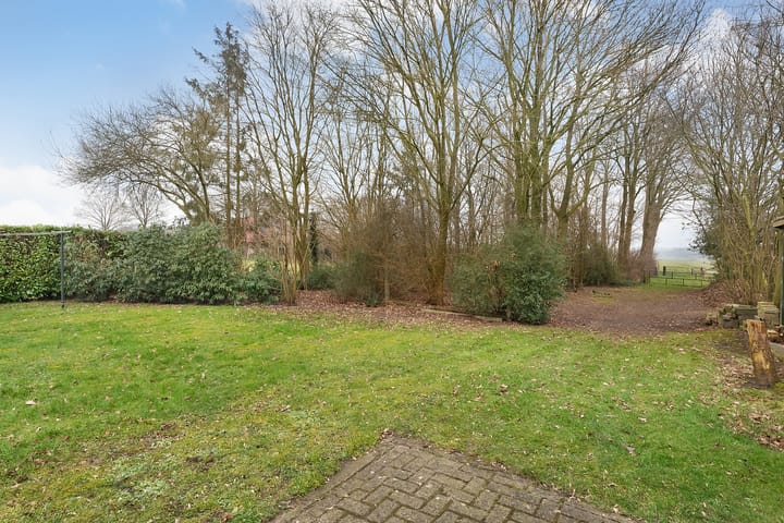 Foto 62 van Glinthaar 41