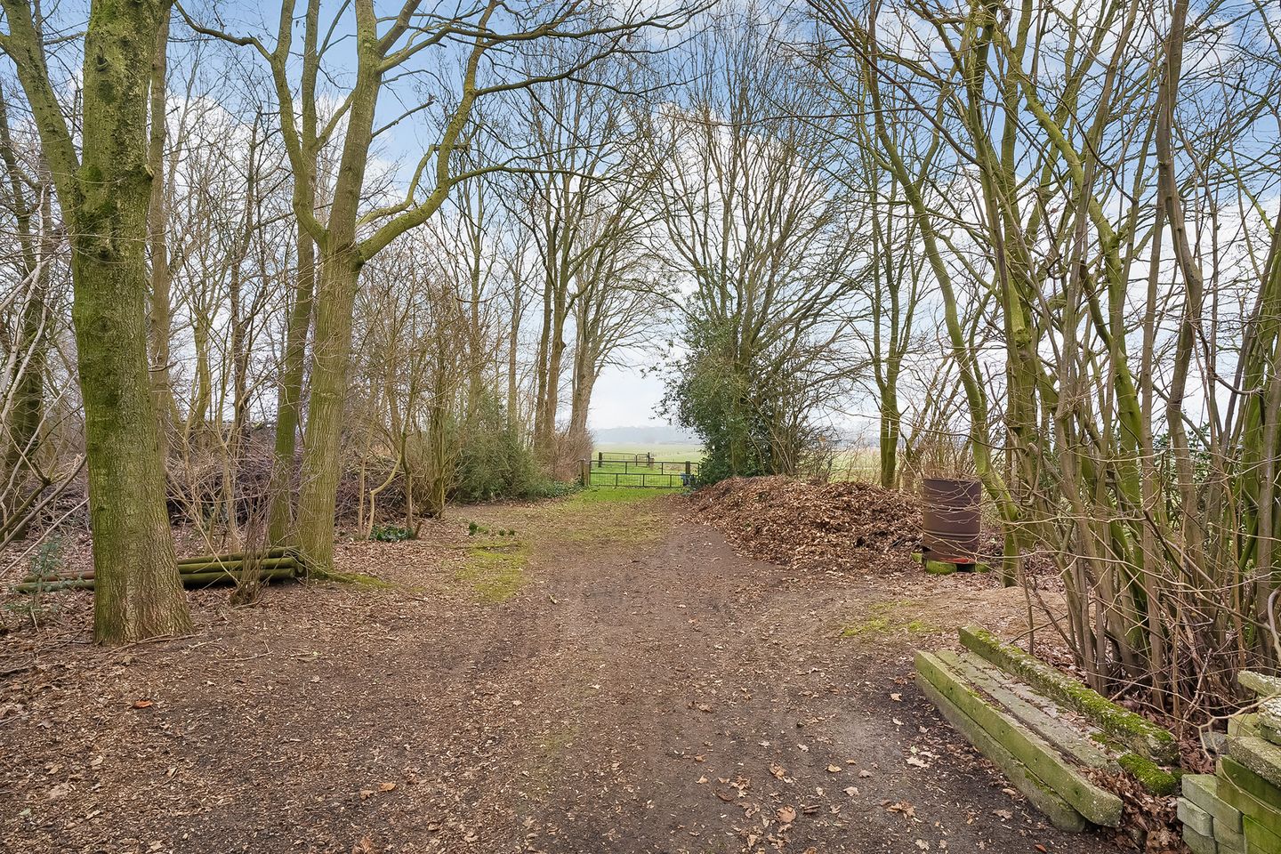 Foto 65 van Glinthaar 41